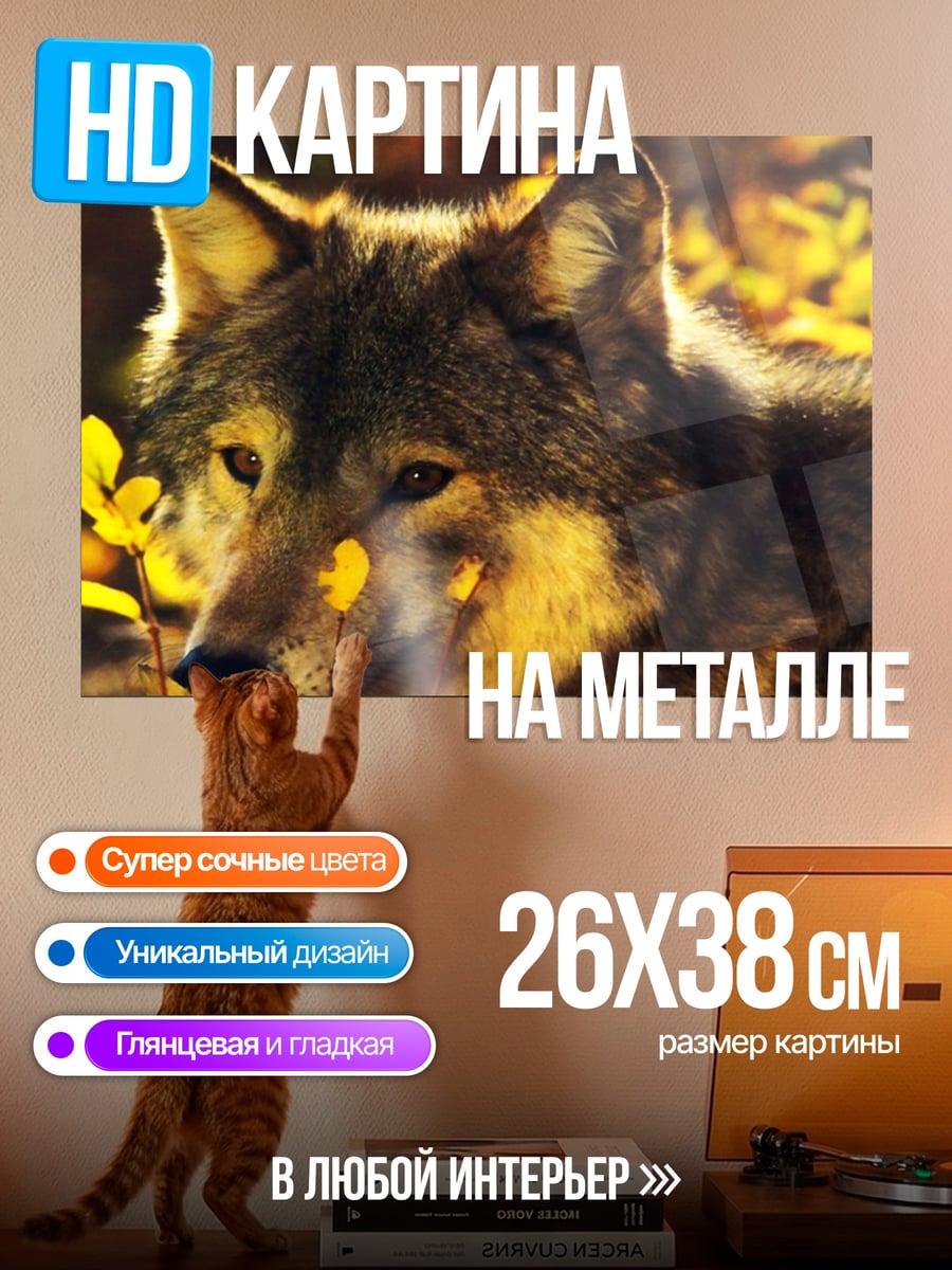 Картина на металле Волк осень