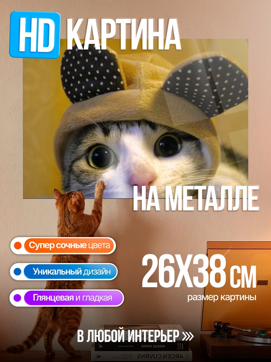 Картина на металле Милый котик в шапке