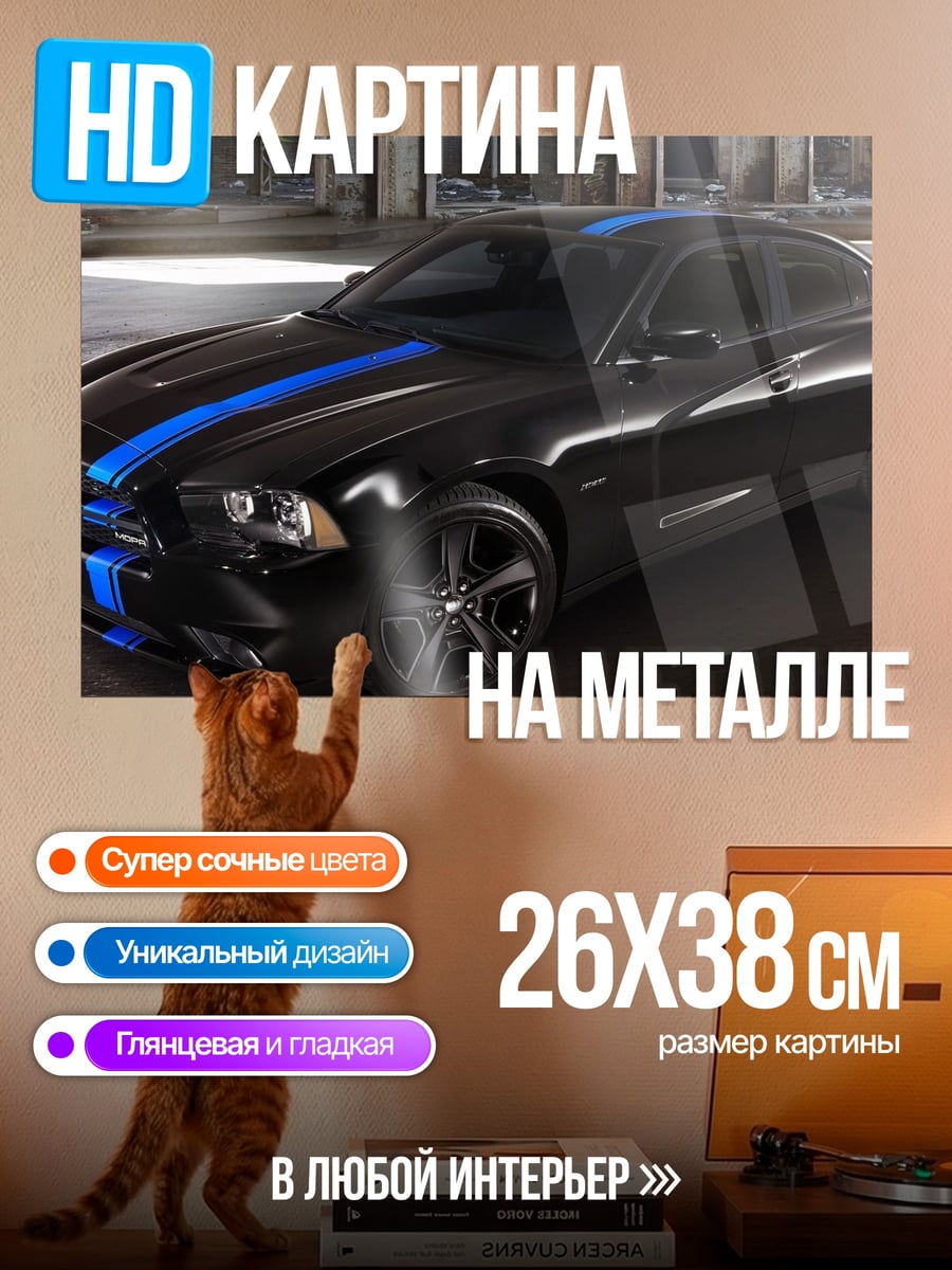Картина на металле Черный маслкар с полосами