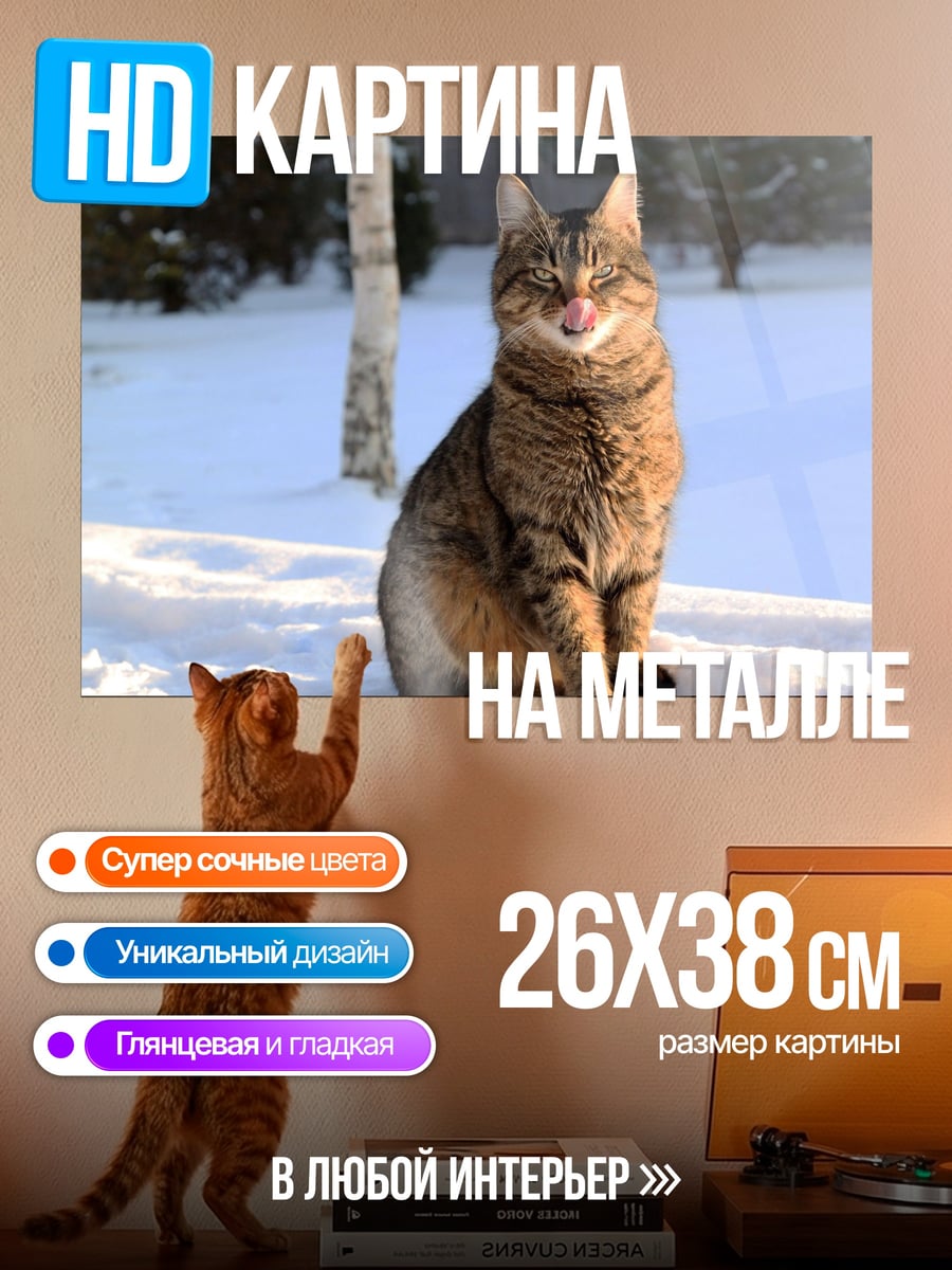 Картина на металле Кот на снегу