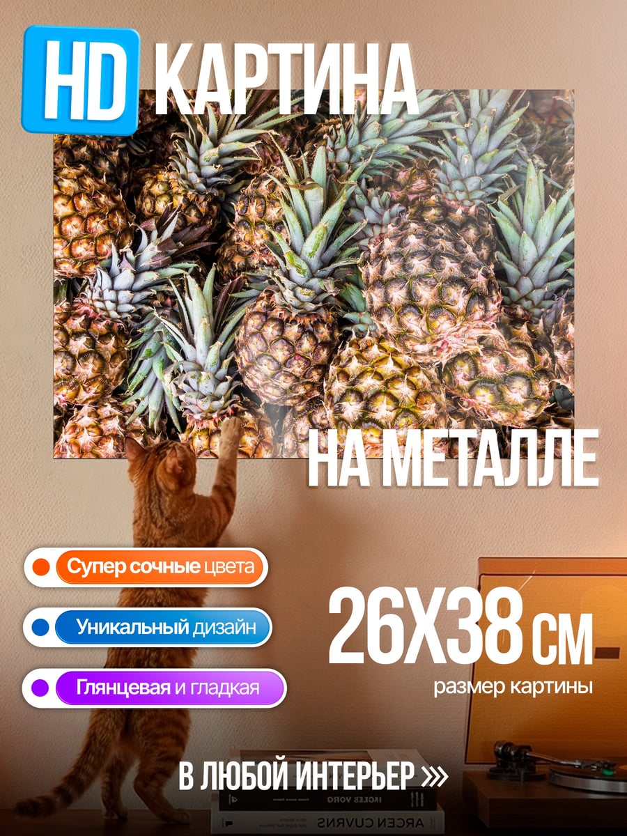 Картина на металле Ананасовый урожай лето
