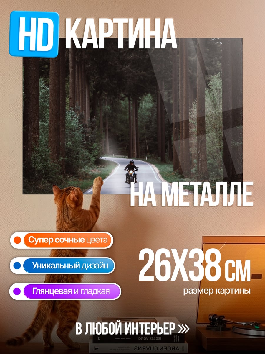 Картина на металле Мотоциклист в лесу