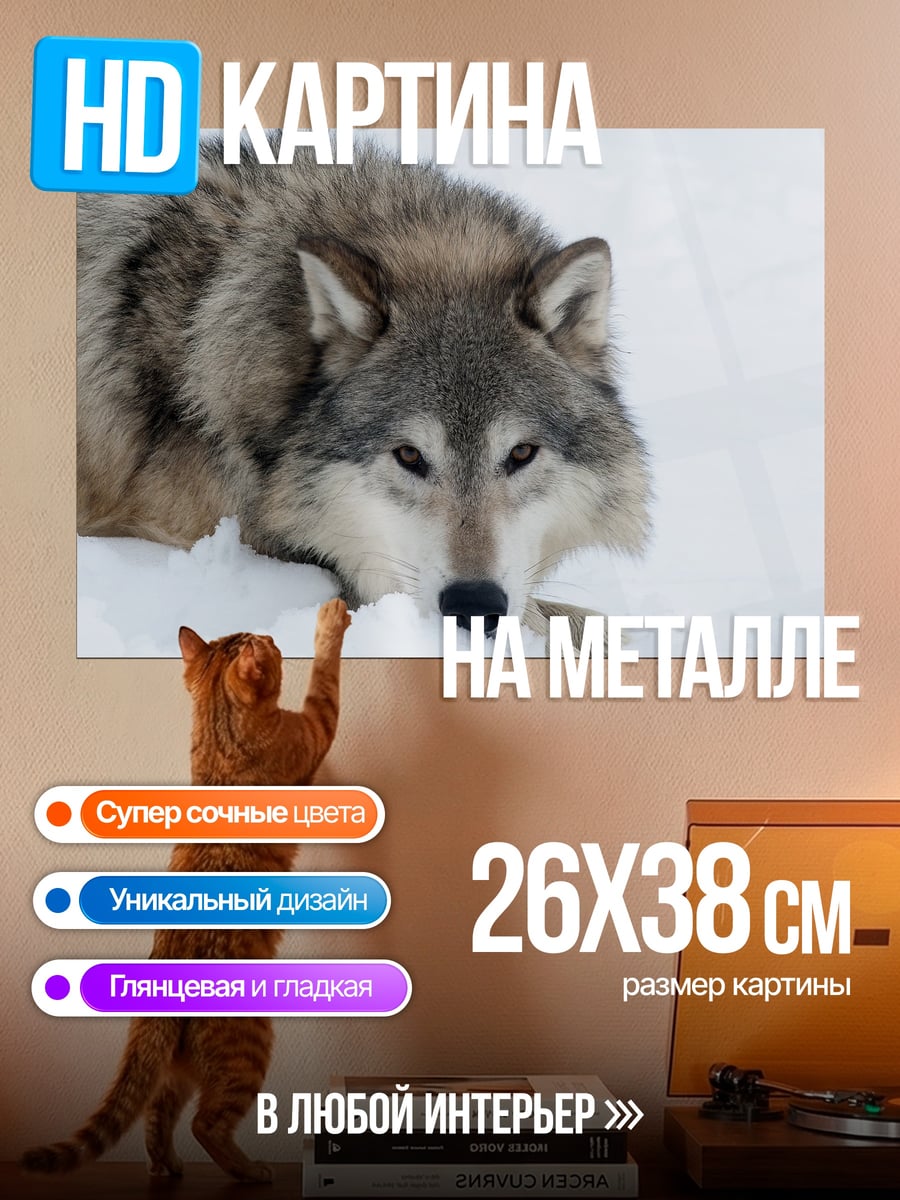 Картина на металле серый волк