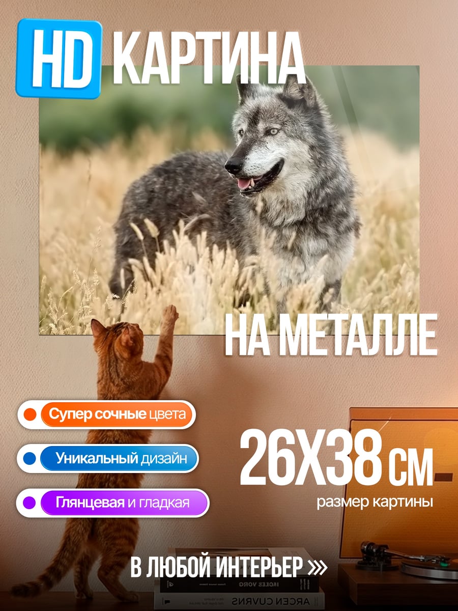 Картина на металле Волк в поле
