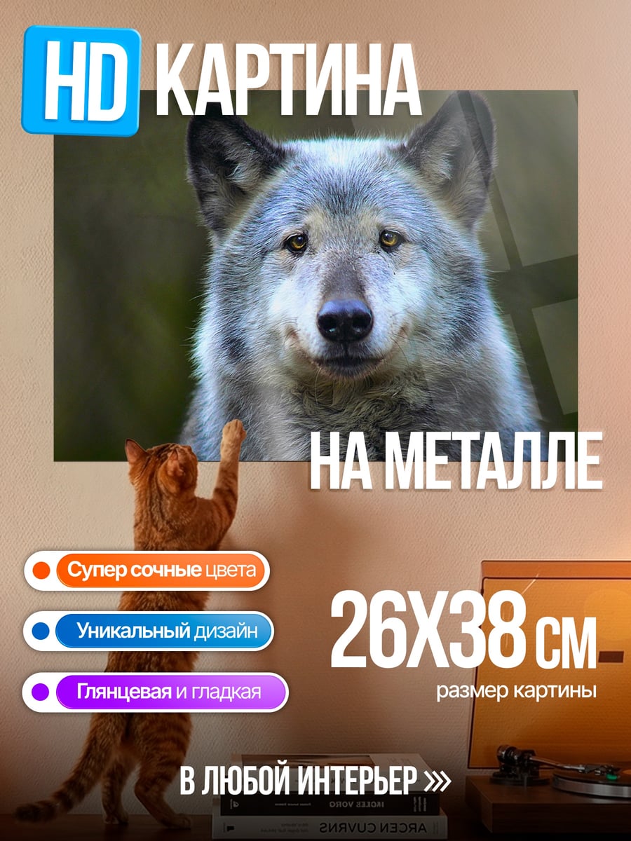 Картина на металле Портрет волка