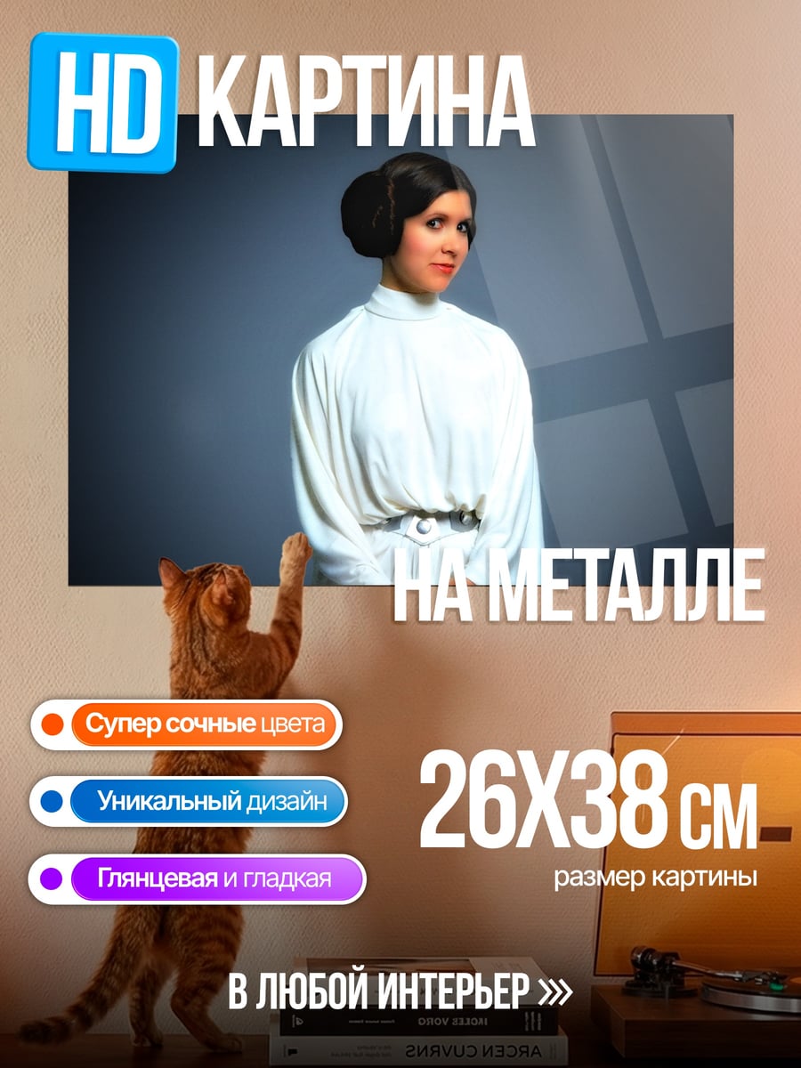 Картина на металле Принцесса Лея