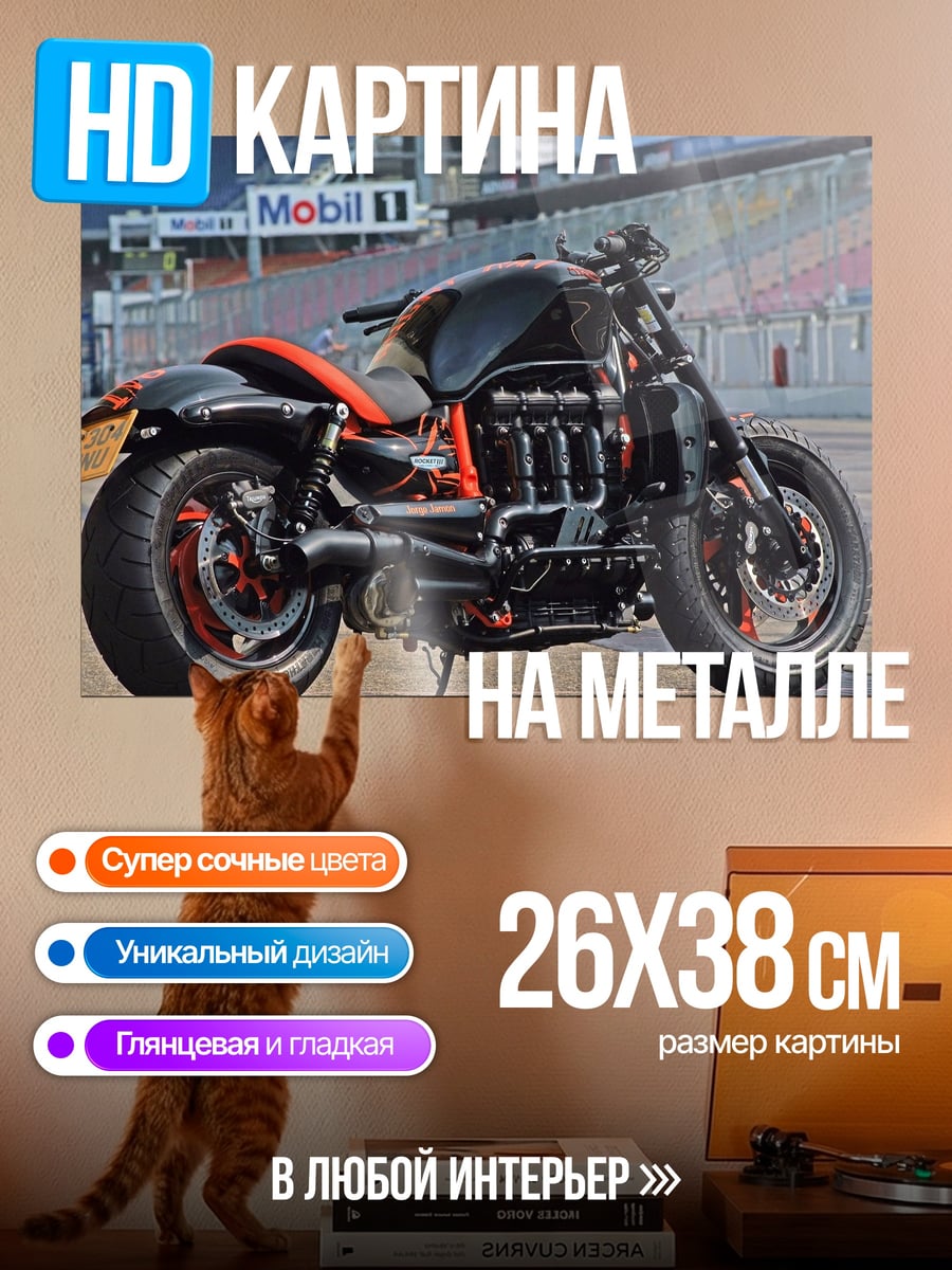 Картина на металле Мощный байк