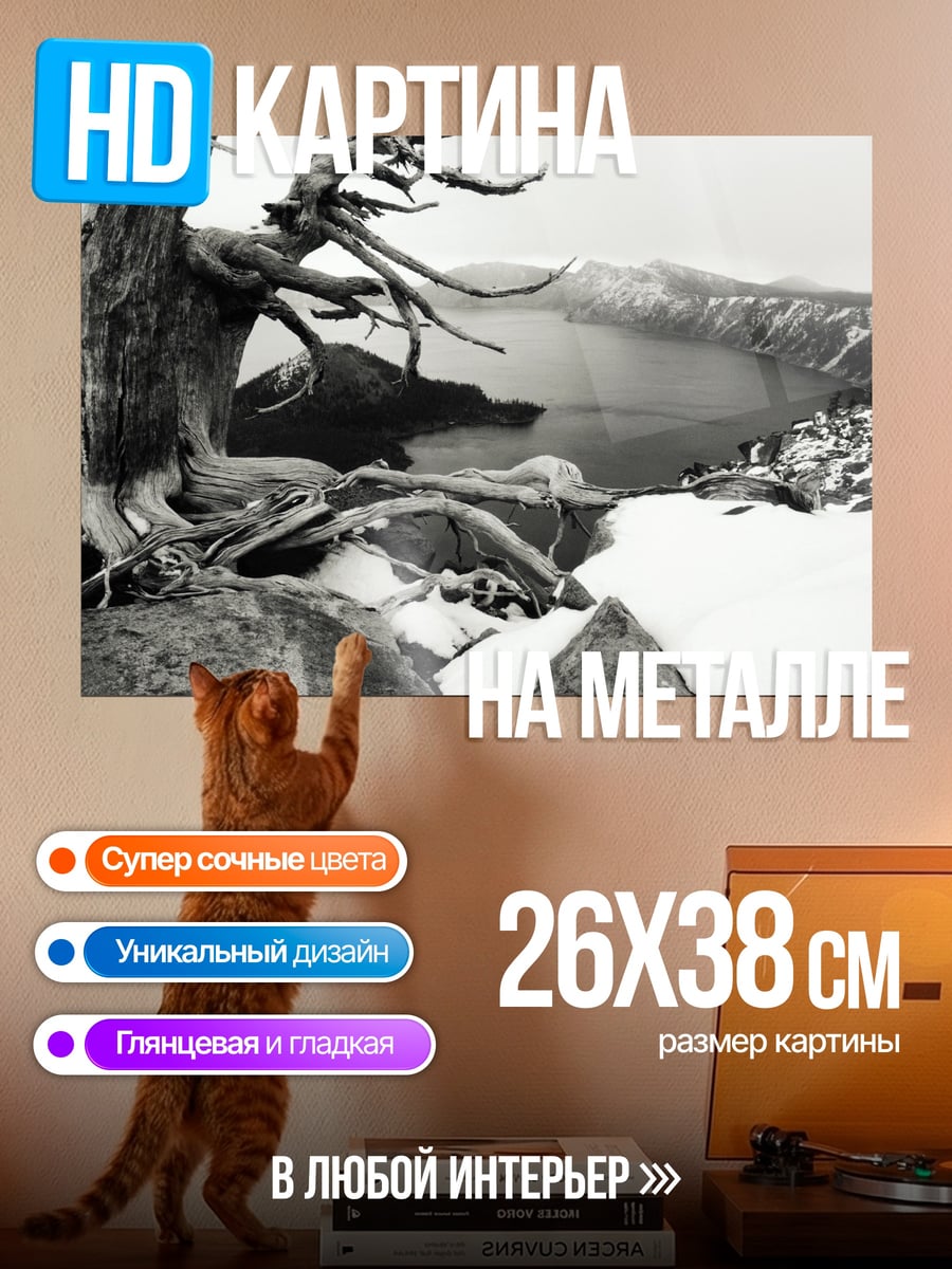 Картина на металле Сухое дерево у озера