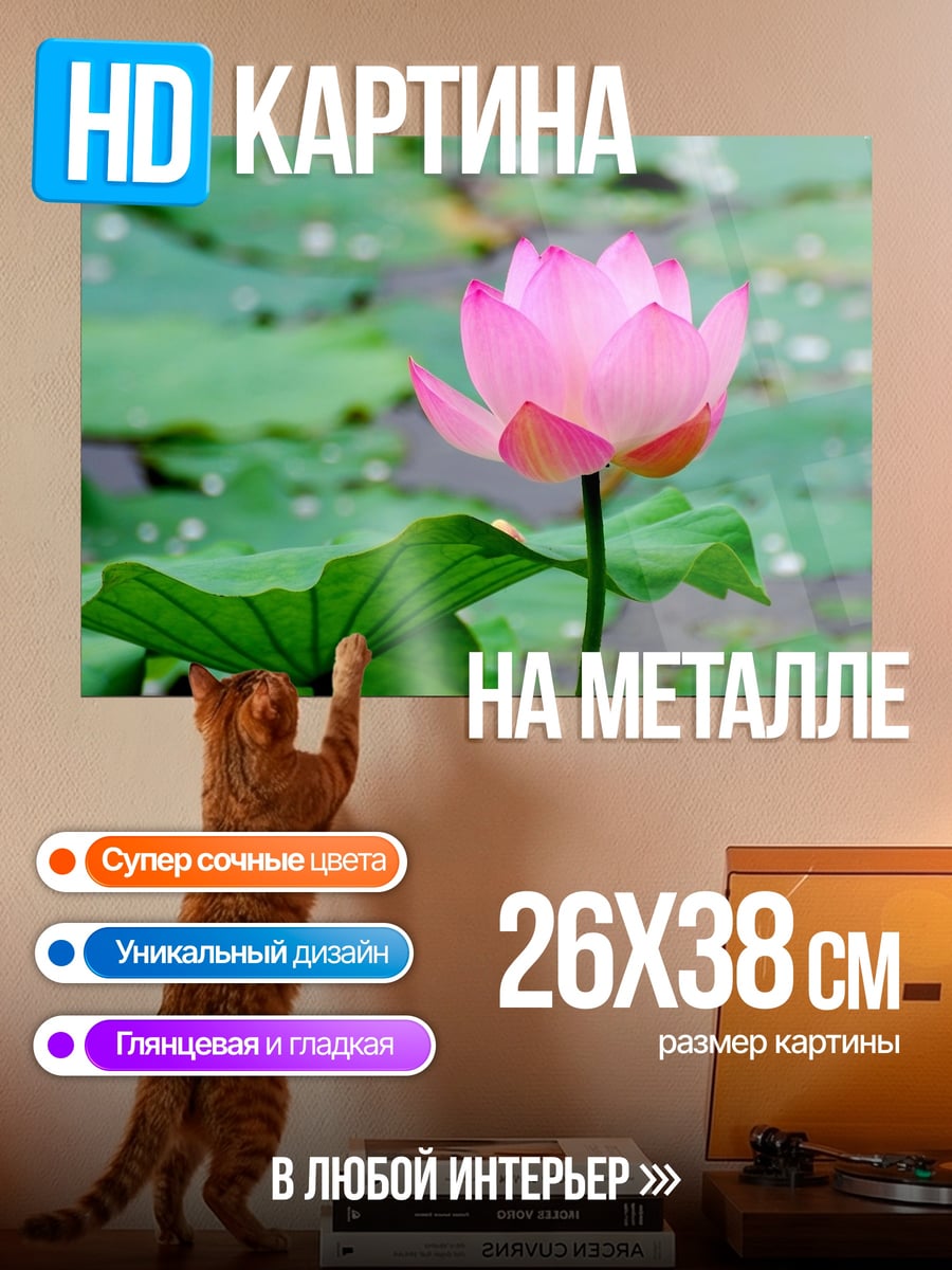 Картина на металле розовый лотос