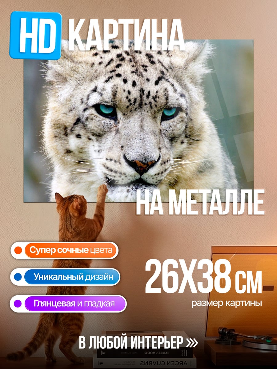 Картина на металле Снежный барс с голубыми глазами