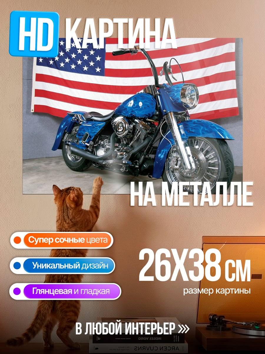 Картина на металле Американский Чоппер