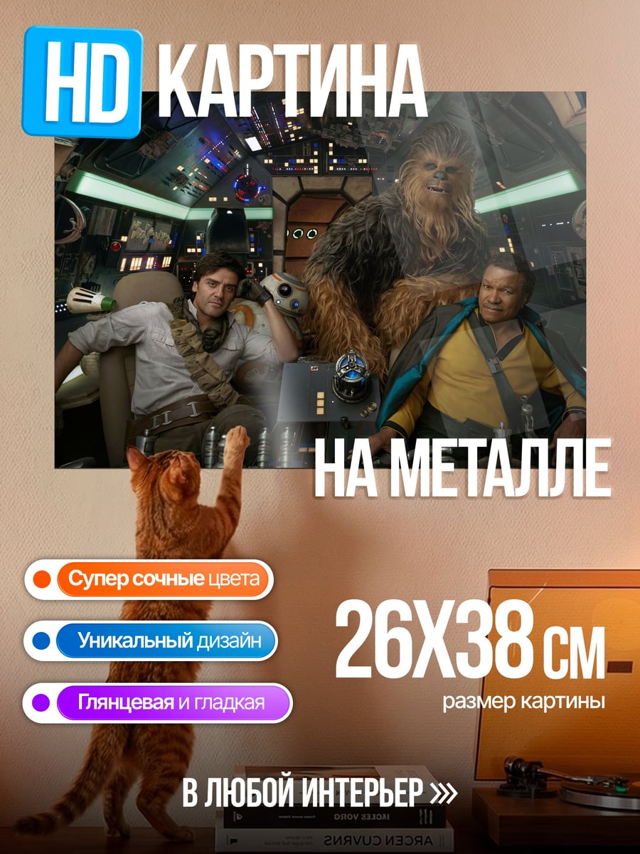 Картина на металле Космические Пираты