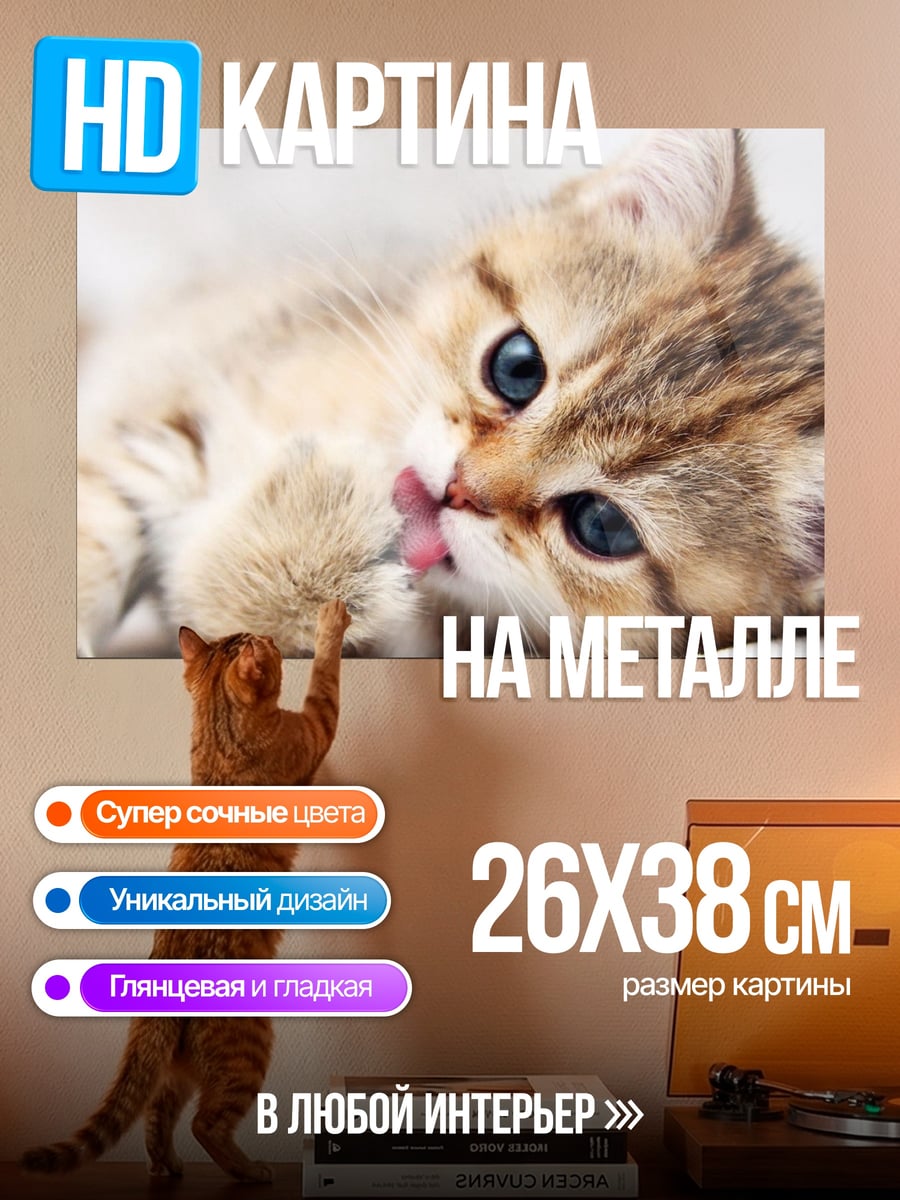 Картина на металле Милый Котёнок