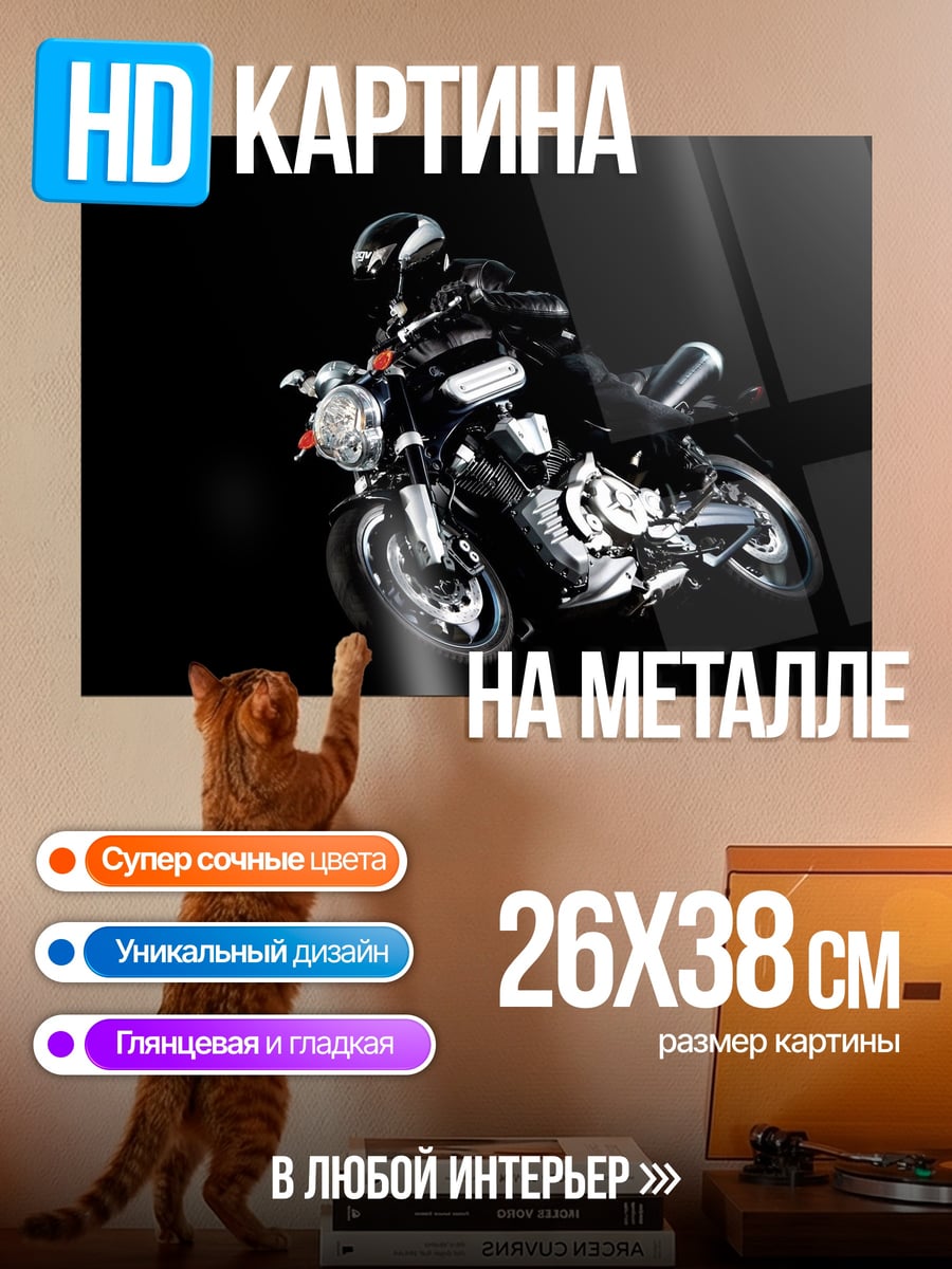 Картина на металле Мотоциклист в черном