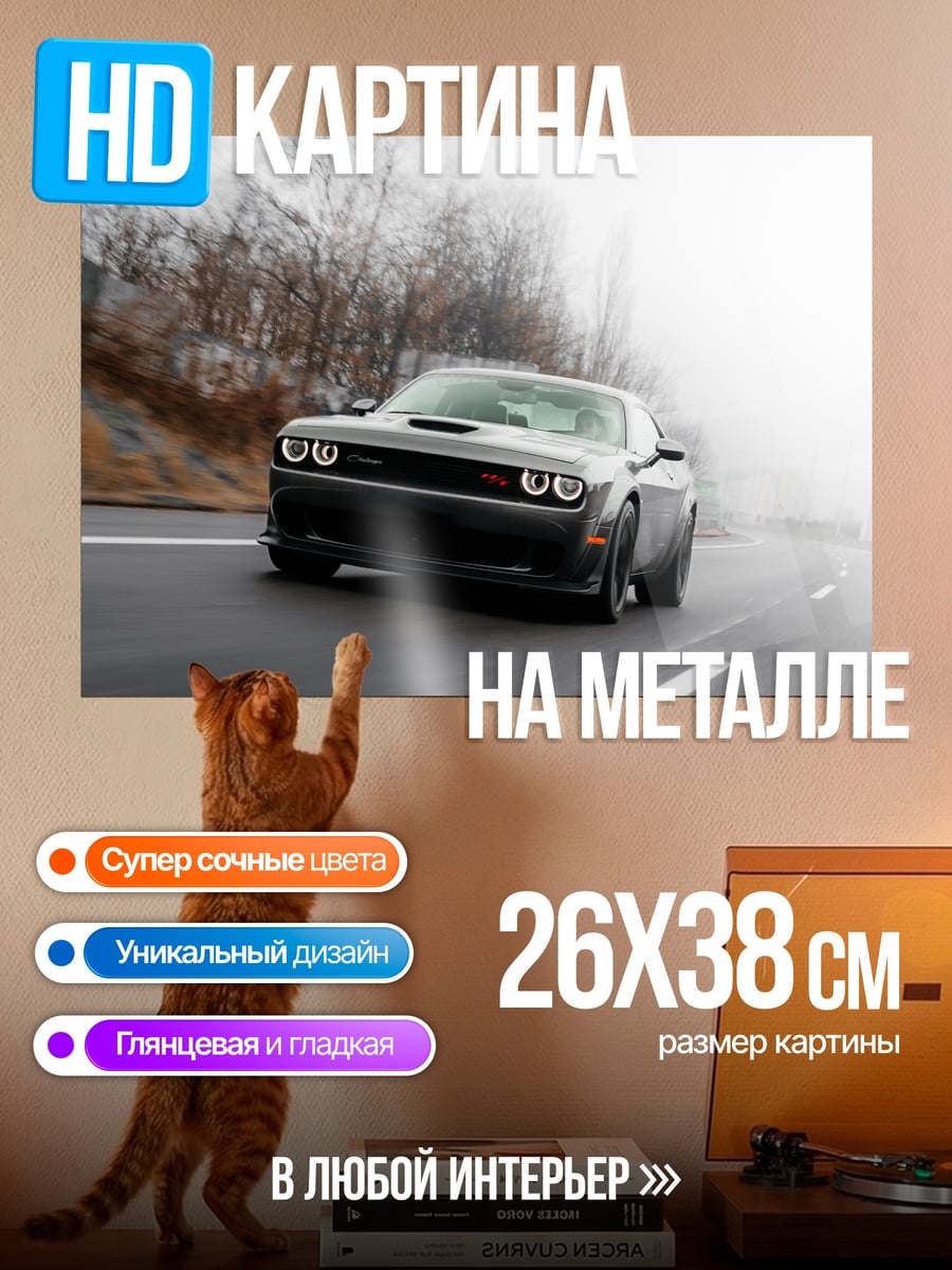 Картина на металле Черный маслкар туман
