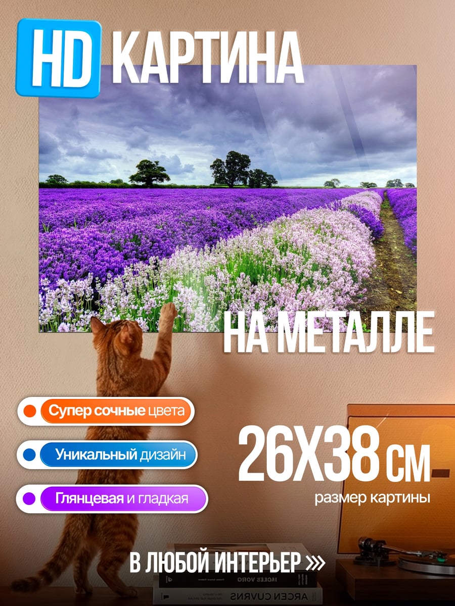 Картина на металле Лавандовое поле закат