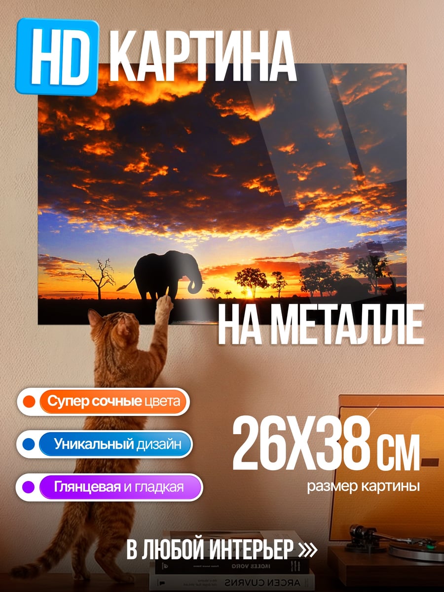 Картина на металле слон на закате