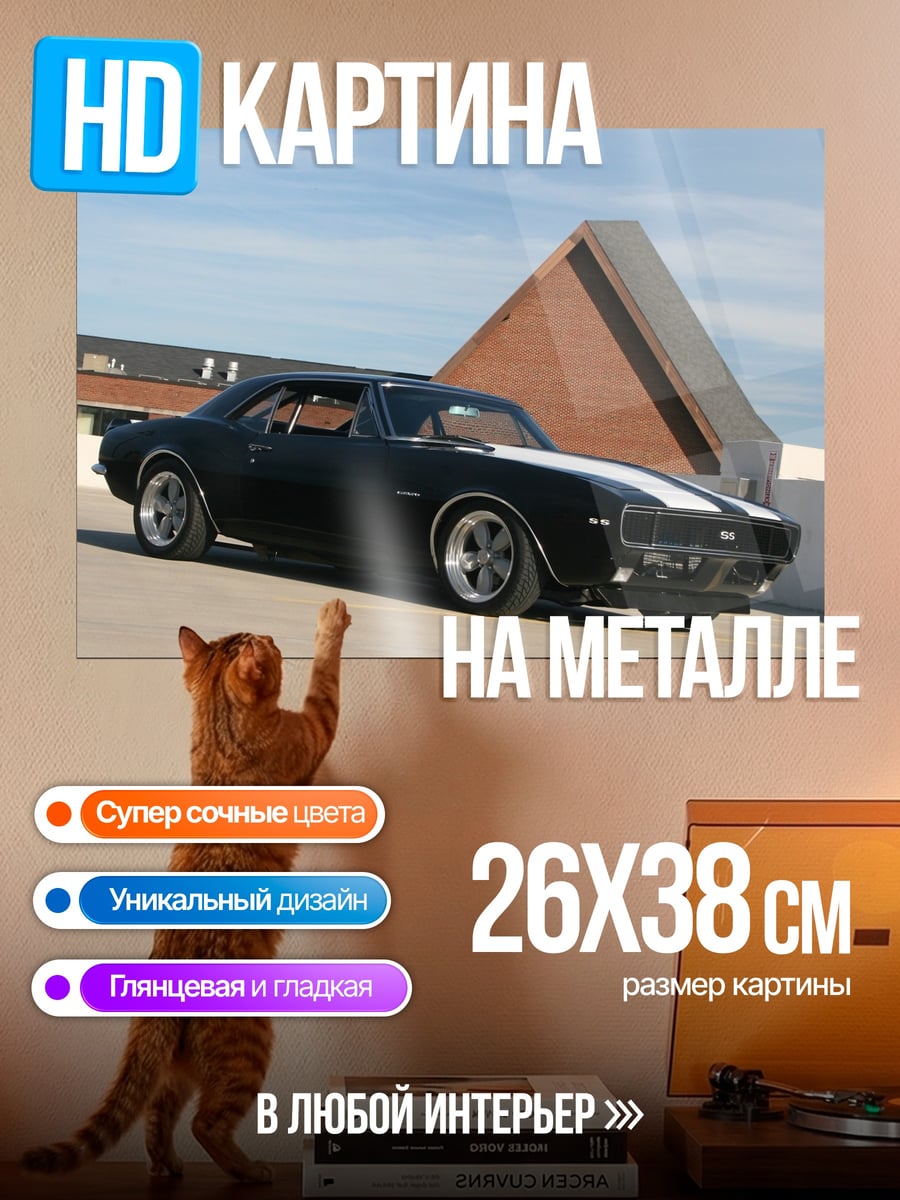 Картина на металле Черный маслкар