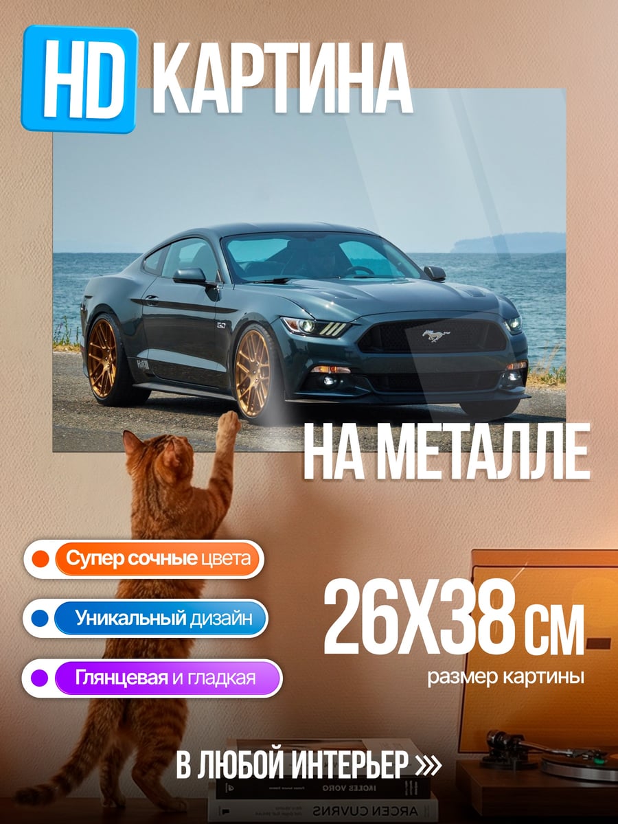 Картина на металле Серый маслкар