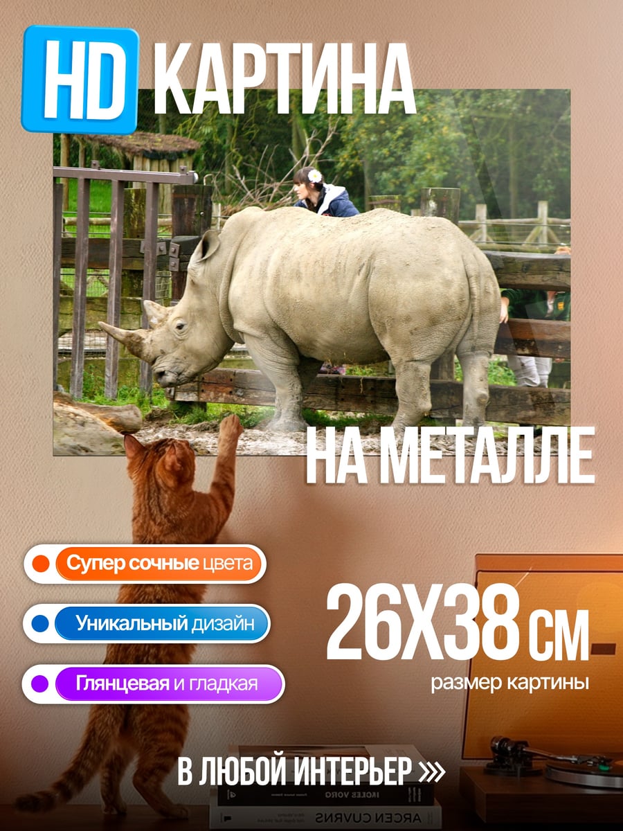 Картина на металле Человек на носороге