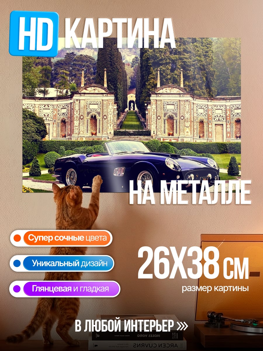 Картина на металле Редкий автомобиль