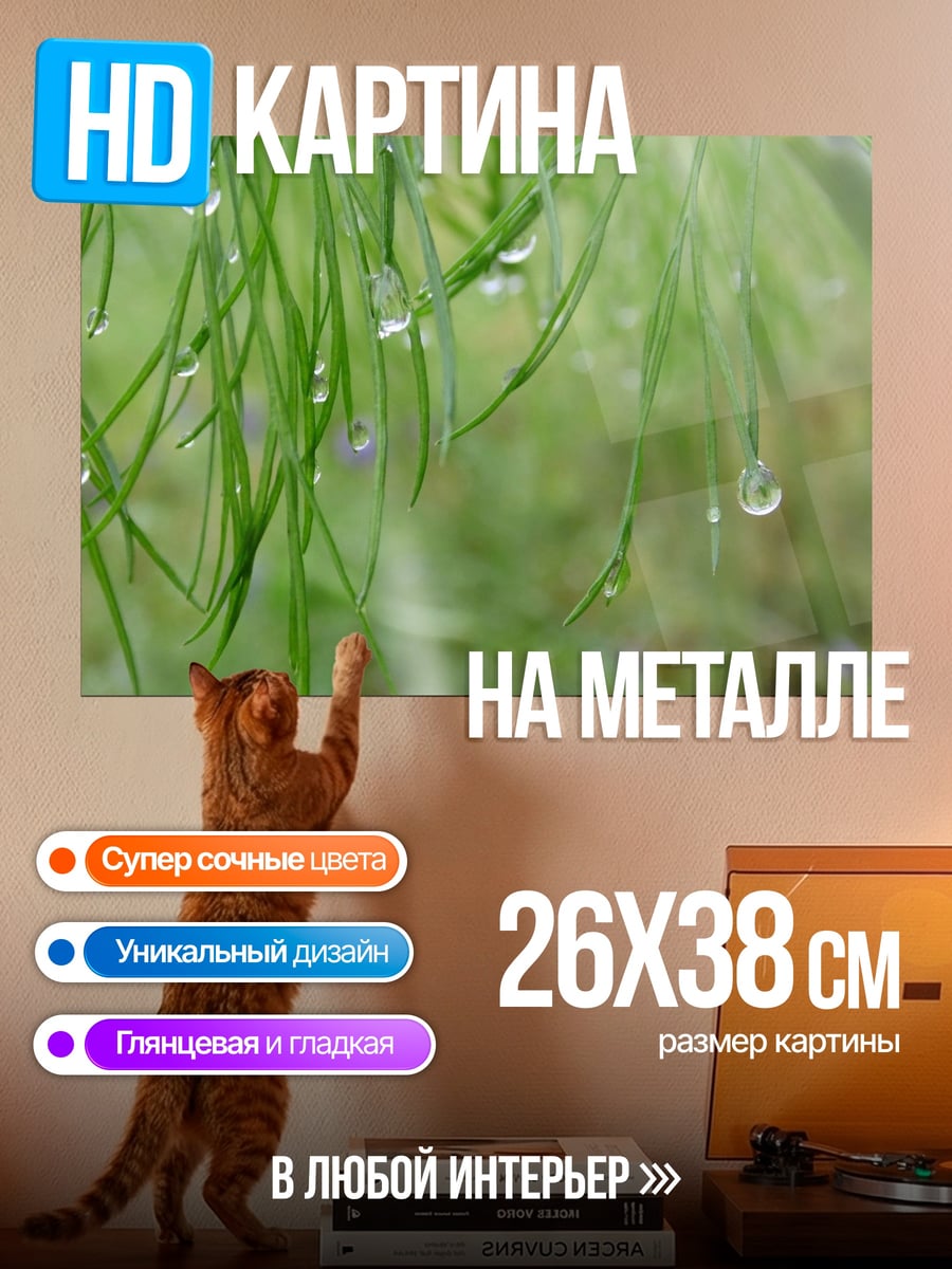Картина на металле трава с росой