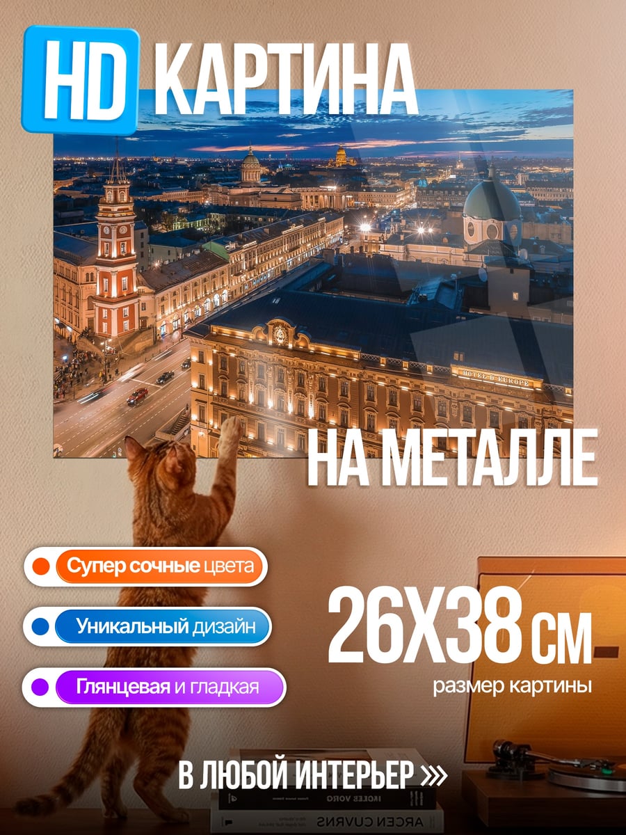 Картина на металле Санкт-Петербург ночной