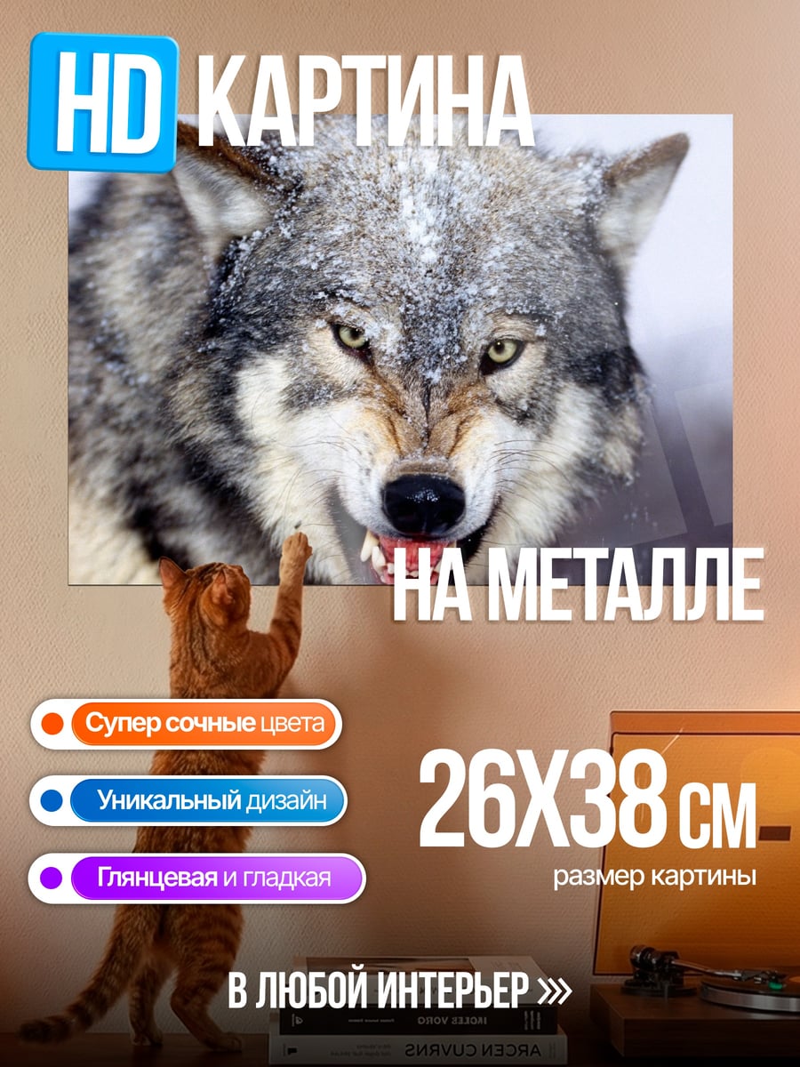 Картина на металле Злой волк в снегу