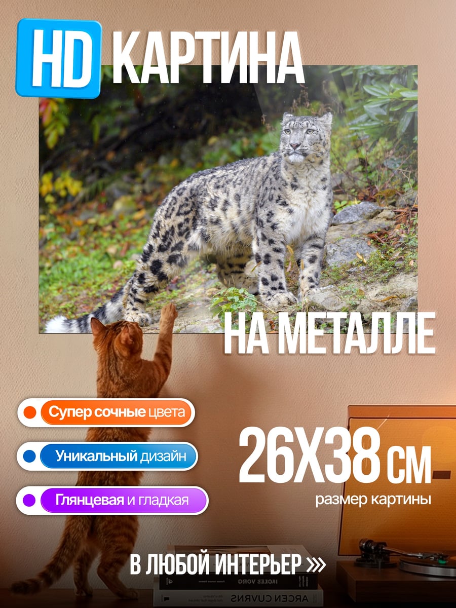 Картина на металле Снежный барс