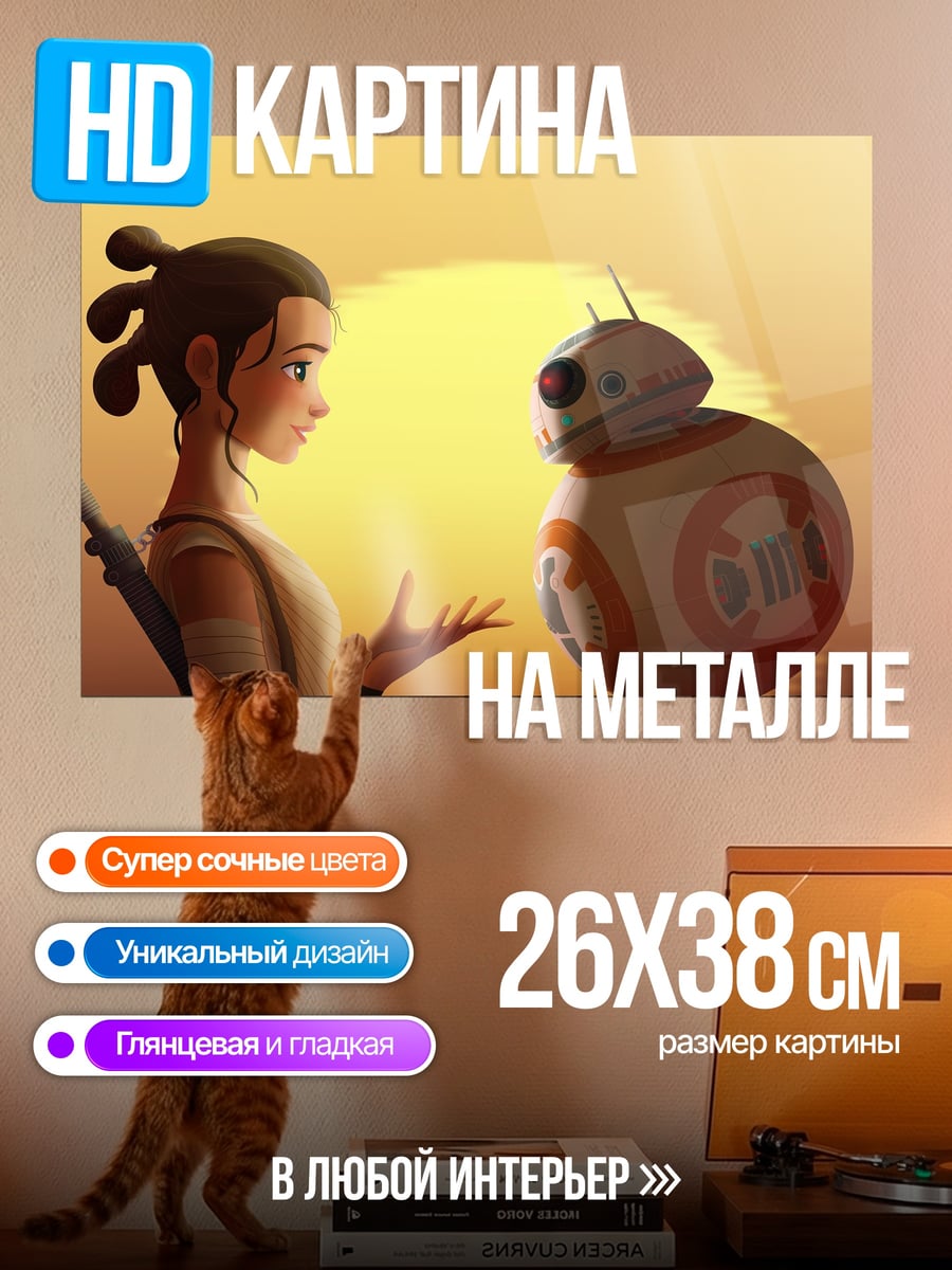 Картина на металле Рей и BB-8