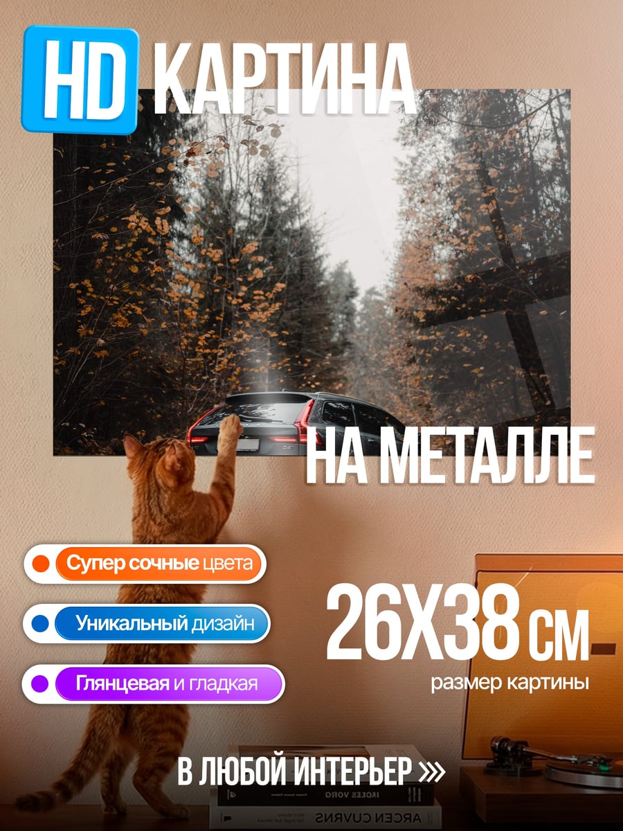 Картина на металле Автомобиль в лесу