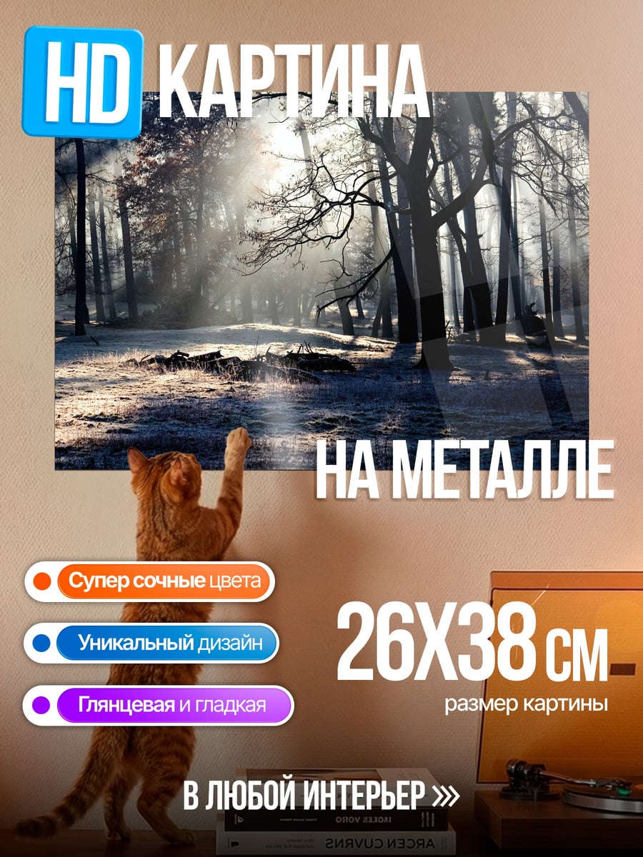 Картина на металле Лесной туман