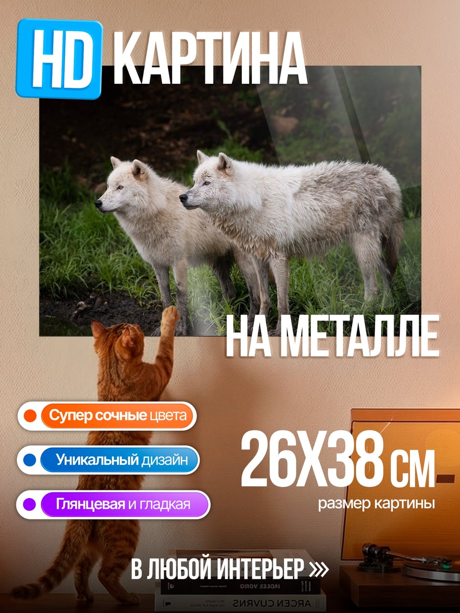 Картина на металле Два волка