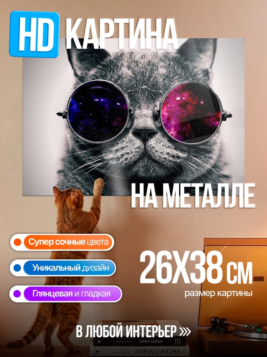 Картина на металле Кот в очках