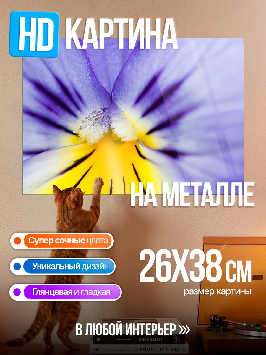 Картина на металле Макро цветок анютины глазки