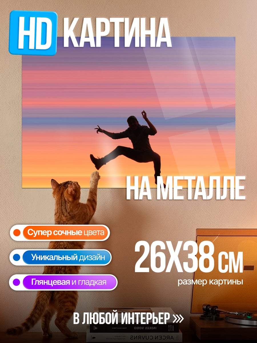 Картина на металле Прыжок в закат
