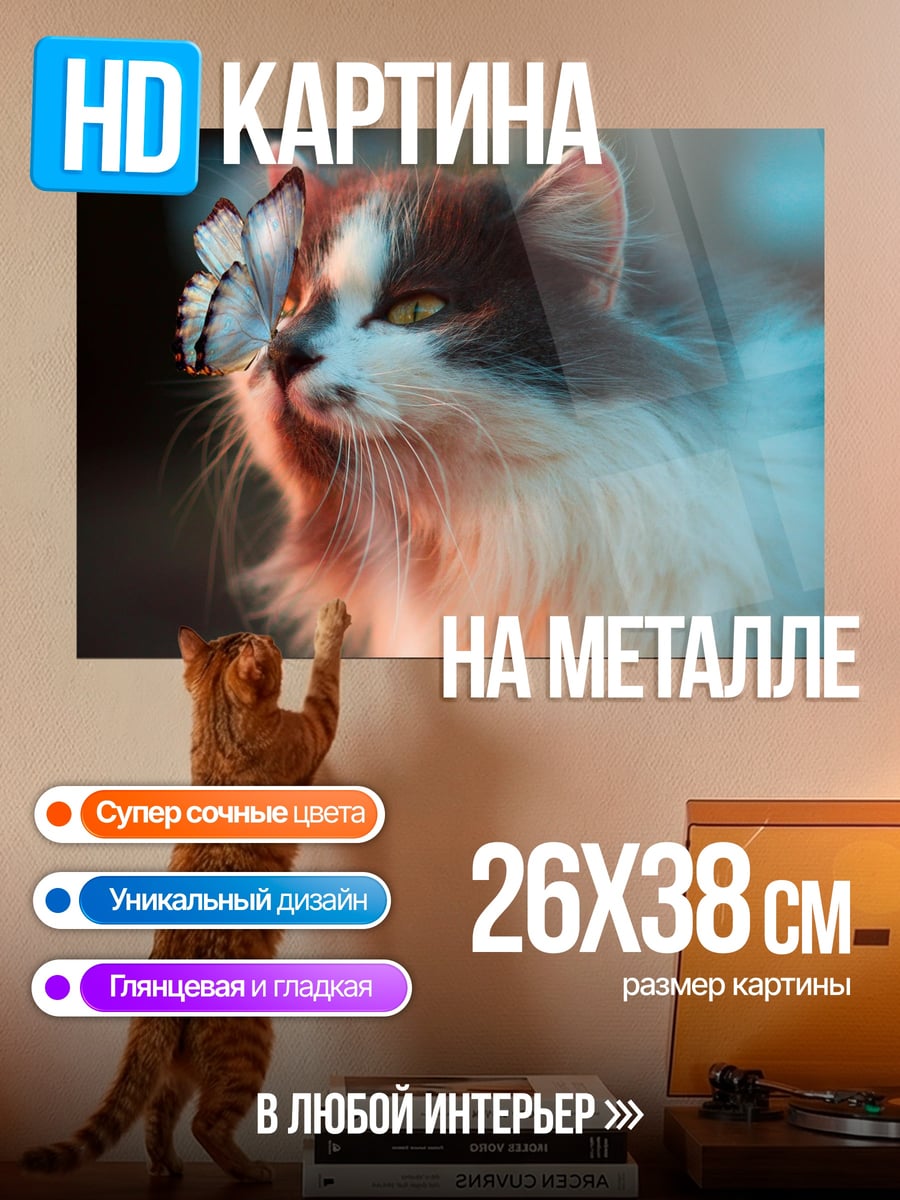 Картина на металле Кот и бабочка