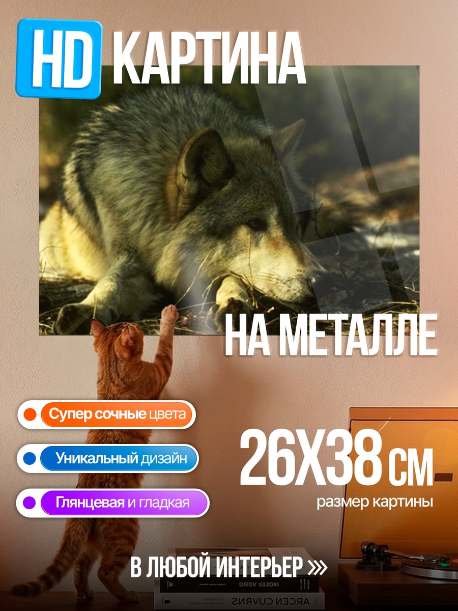 Картина на металле Лежащий волк