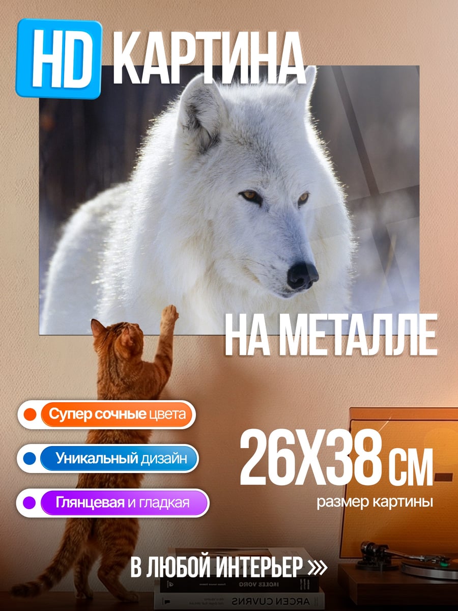 Картина на металле Белый волк