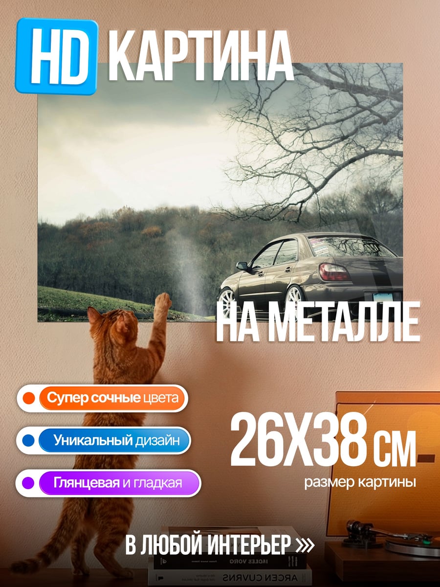 Картина на металле Автомобиль на обочине