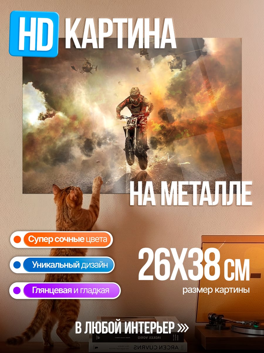 Картина на металле Мотоциклист в дыму