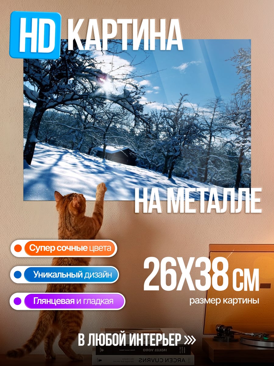 Картина на металле Зимний лес солнце