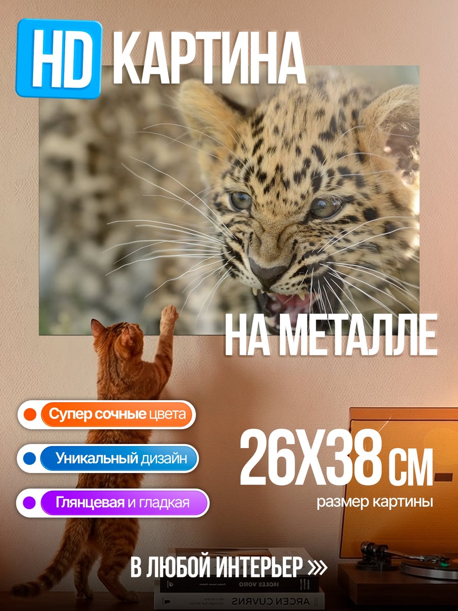 Картина на металле детеныш леопарда