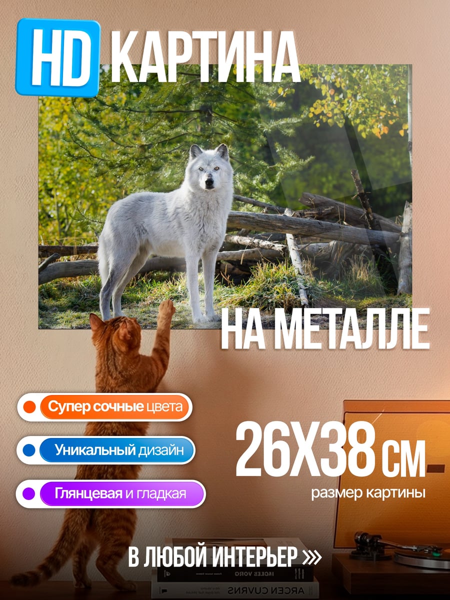 Картина на металле белый волк в лесу