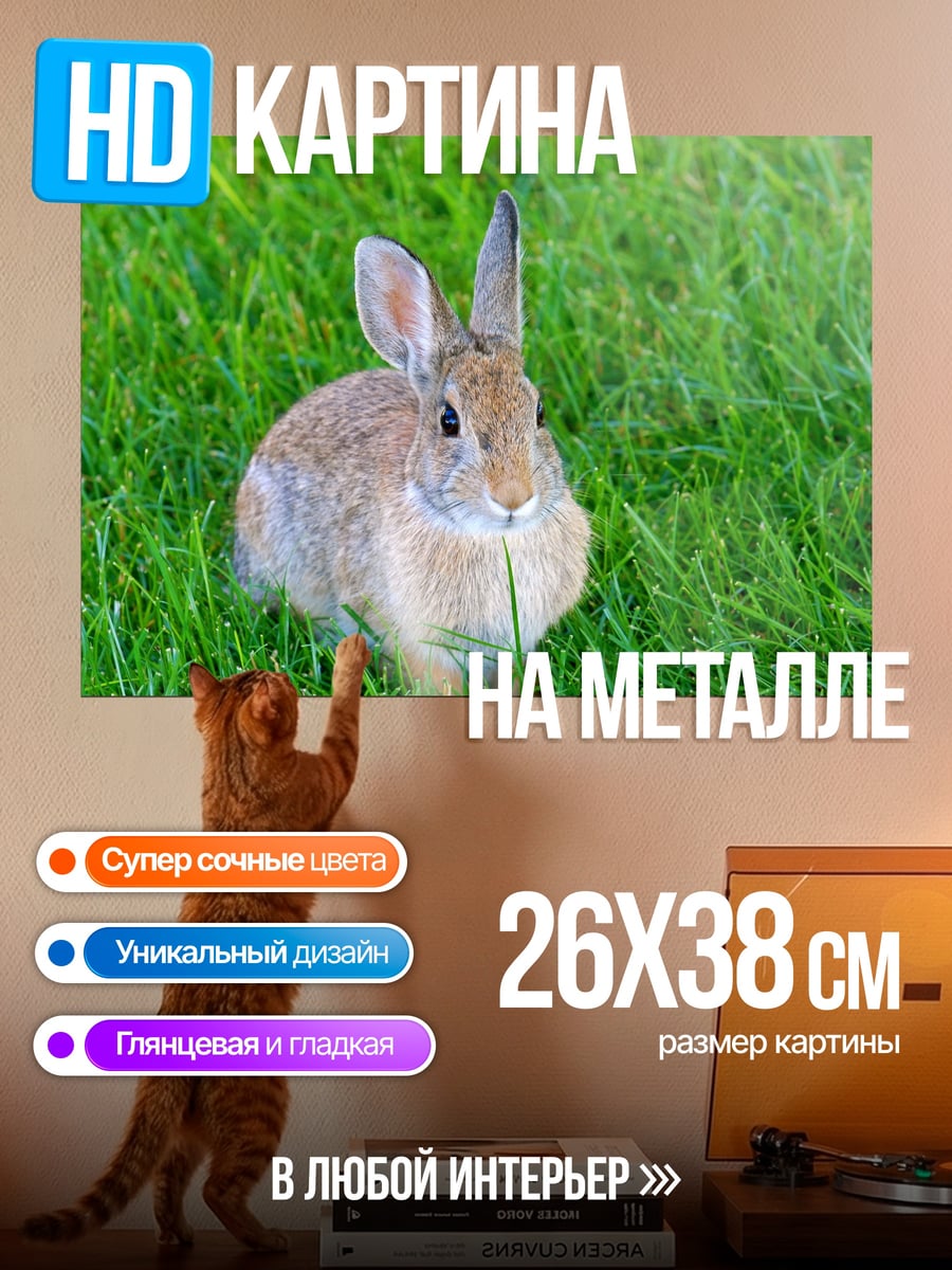 Картина на металле кролик на траве