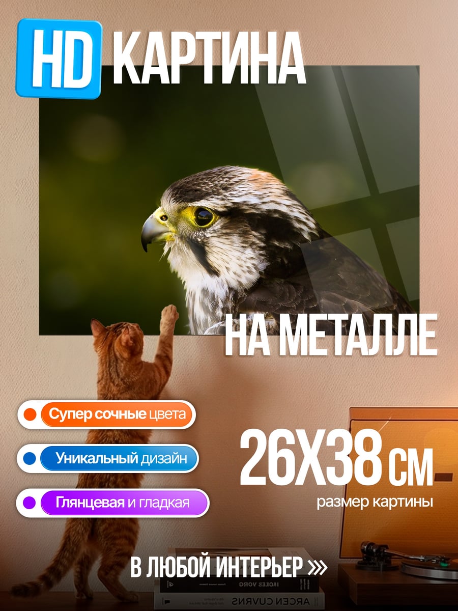 Картина на металле Сокол крупным планом