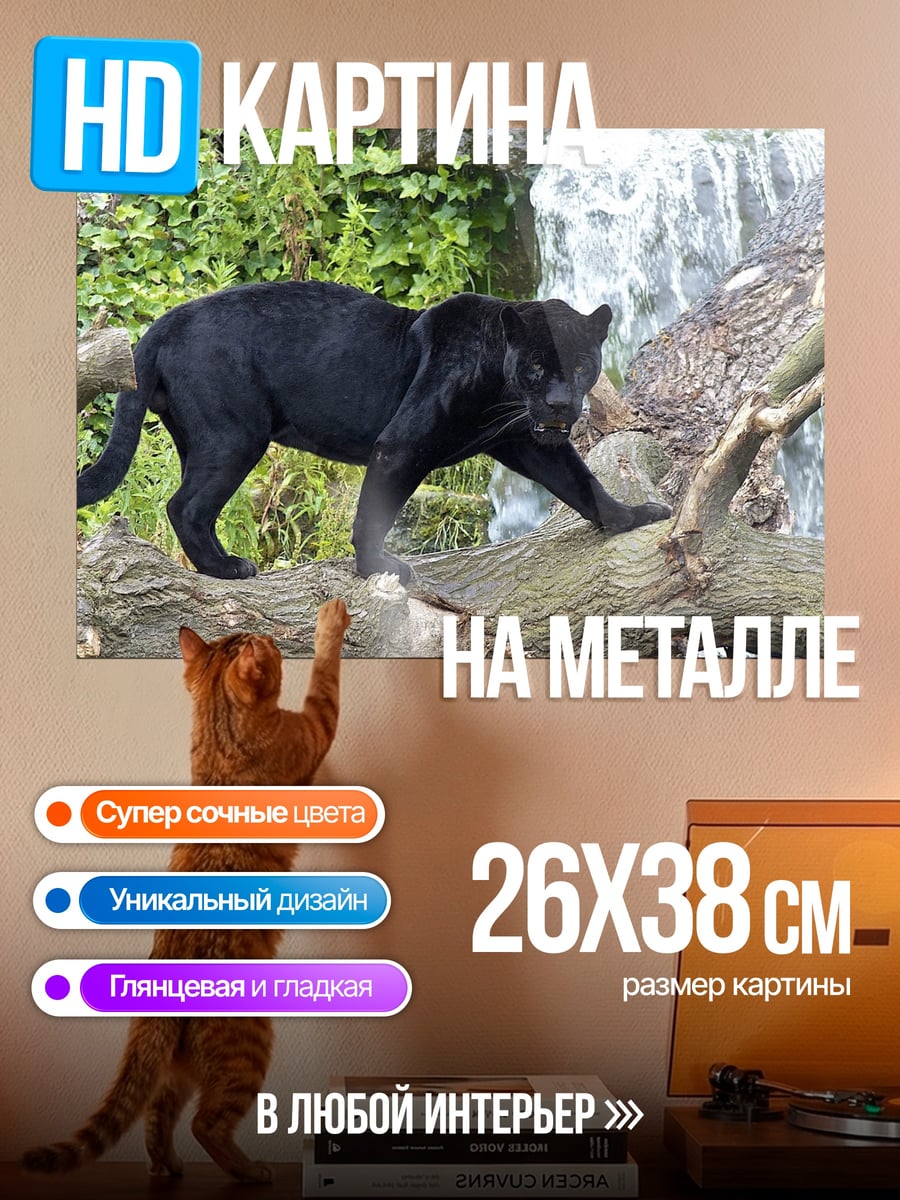 Картина на металле Черная пантера дерево