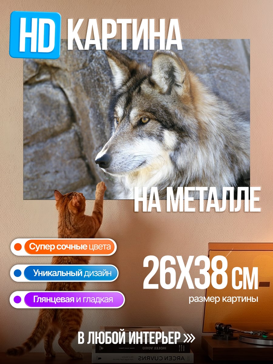 Картина на металле Волк скалы профиль
