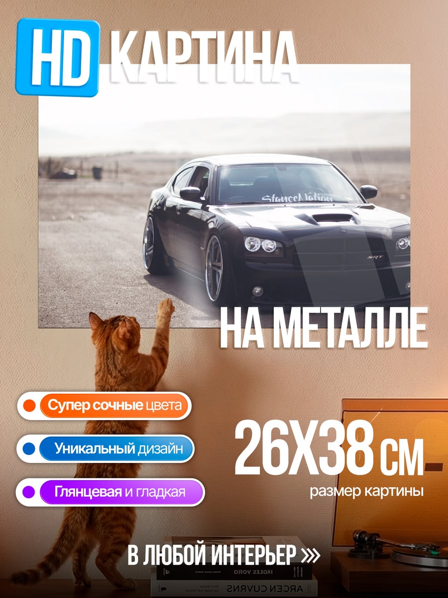 Картина на металле черный маслкар