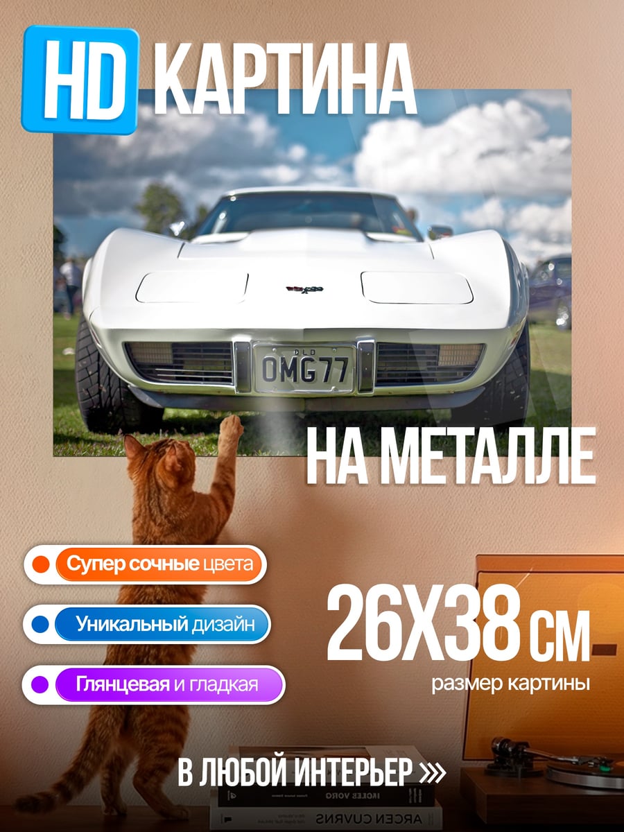 Картина на металле белый корвет